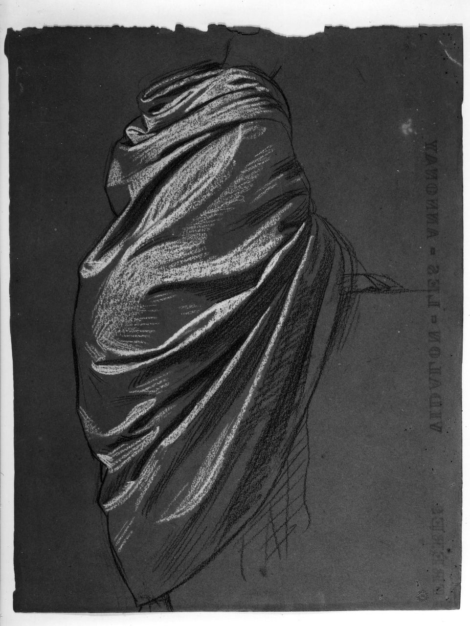 studio di panneggio; studio di testa (disegno preparatorio) di Franchi Alessandro (sec. XIX)