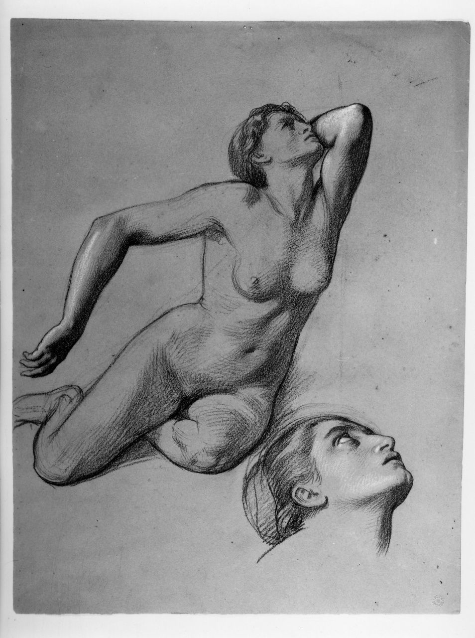 studio di nudo; studio di testa; studio di mano (disegno preparatorio) di Franchi Alessandro (sec. XIX)