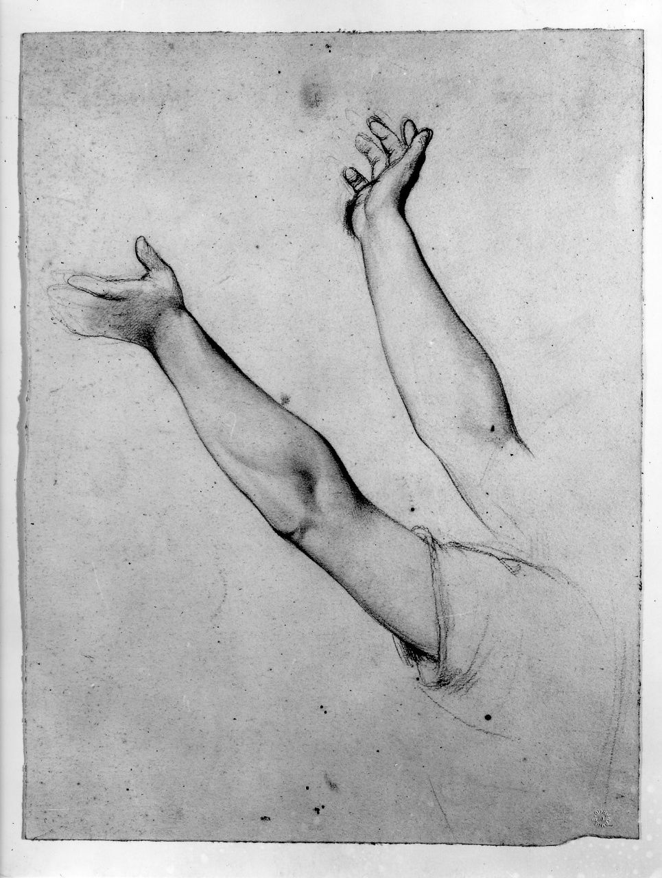 studio di braccio (disegno preparatorio) di Franchi Alessandro (sec. XIX)