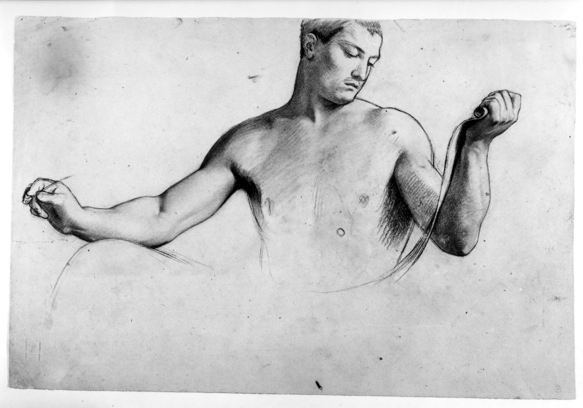 studio di nudo a mezzo busto (disegno preparatorio) di Franchi Alessandro (sec. XIX)