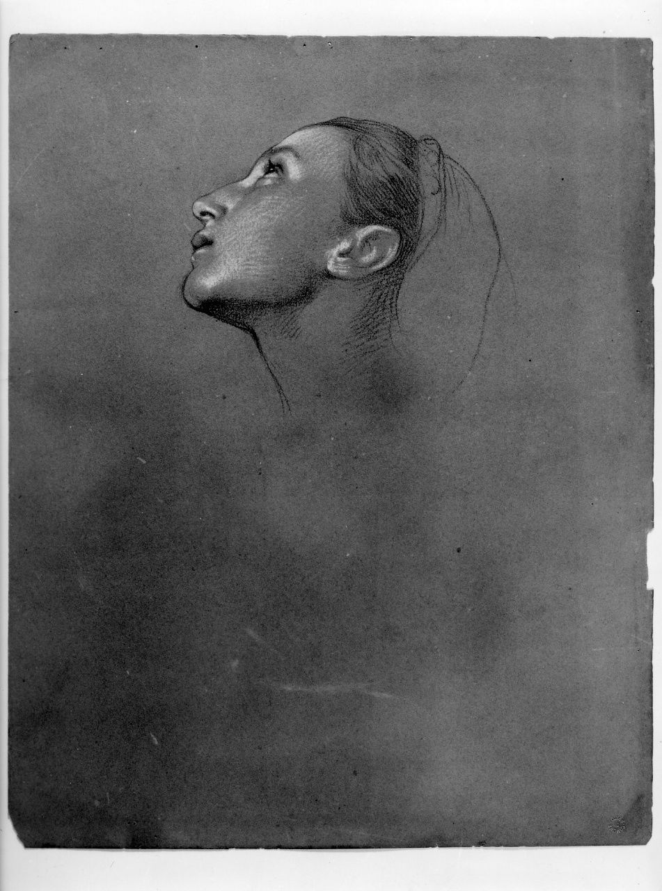 studio di testa (disegno preparatorio) di Franchi Alessandro (sec. XIX)