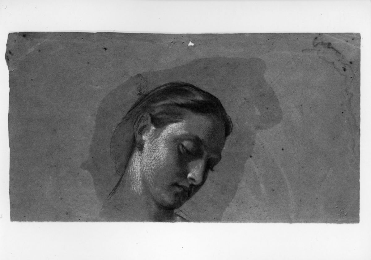studio di testa; studio di panneggio (disegno preparatorio) di Franchi Alessandro (sec. XIX)