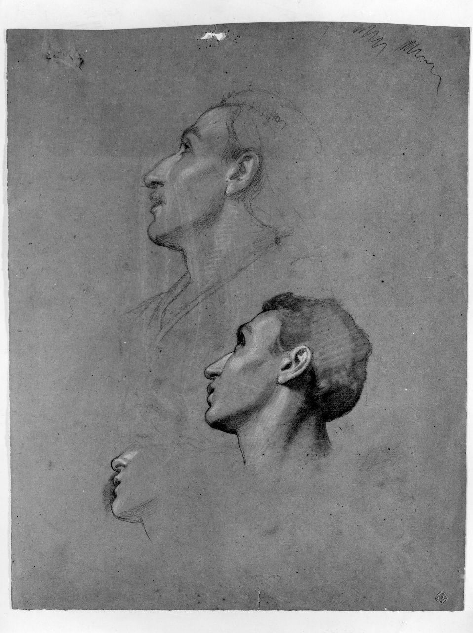 studio di testa (disegno preparatorio) di Franchi Alessandro (sec. XIX)