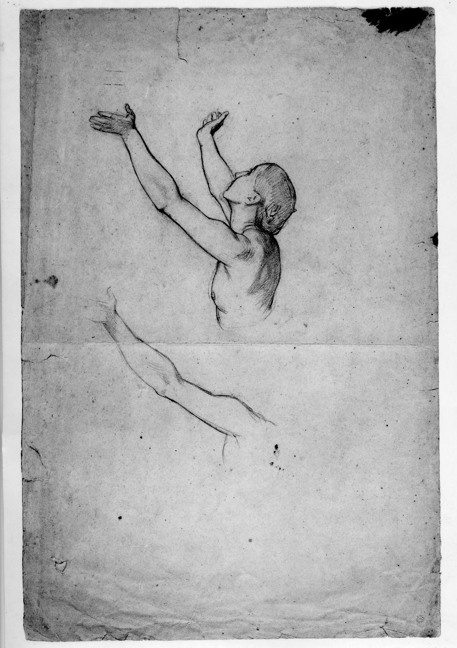 studio di nudo; studio di braccio (disegno preparatorio) di Franchi Alessandro (sec. XIX)