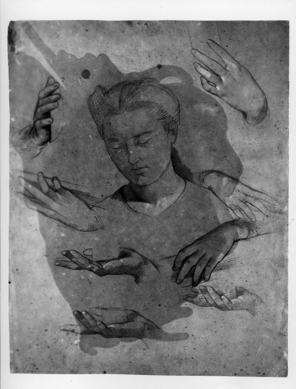 studio di testa; studio di mano (disegno preparatorio) di Franchi Alessandro (seconda metà sec. XIX)