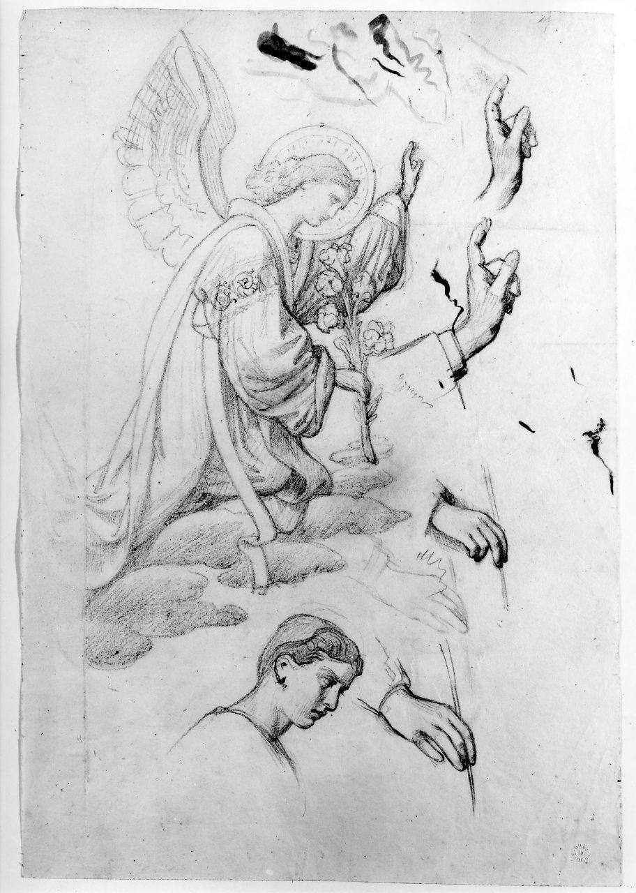studio di figura; studio di testa; studio di mano (disegno preparatorio) di Franchi Alessandro (sec. XIX)