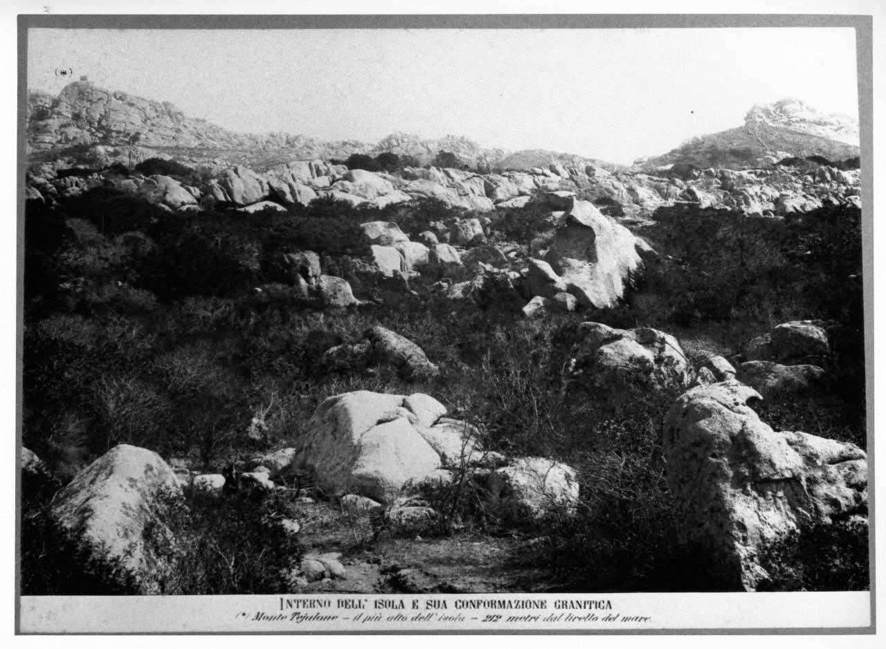 isola di Caprera - monte Tejalone (positivo) di Canè Enrico (ultimo quarto XIX)