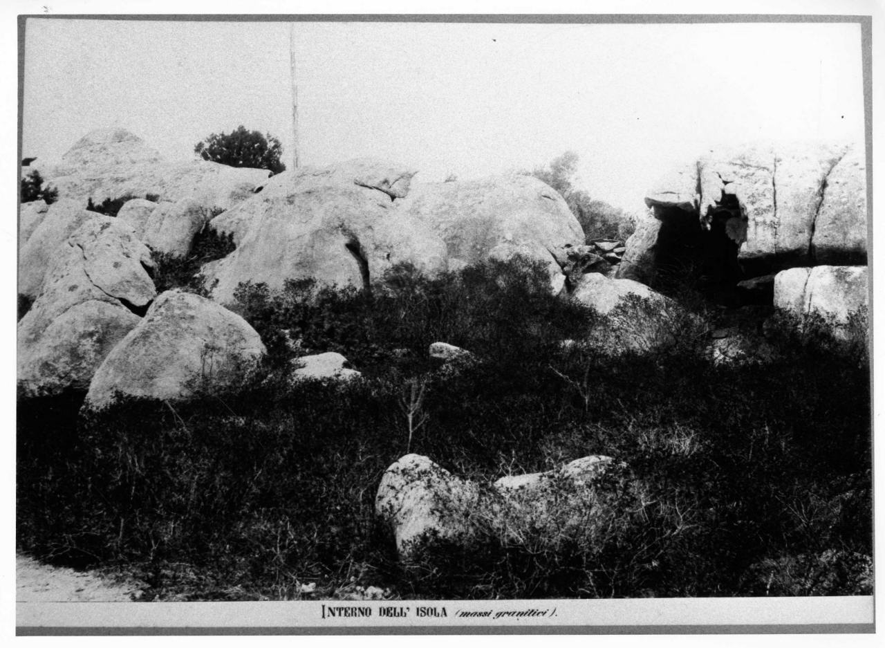 isola di Caprera - paesaggio (positivo) di Canè Enrico (ultimo quarto XIX)