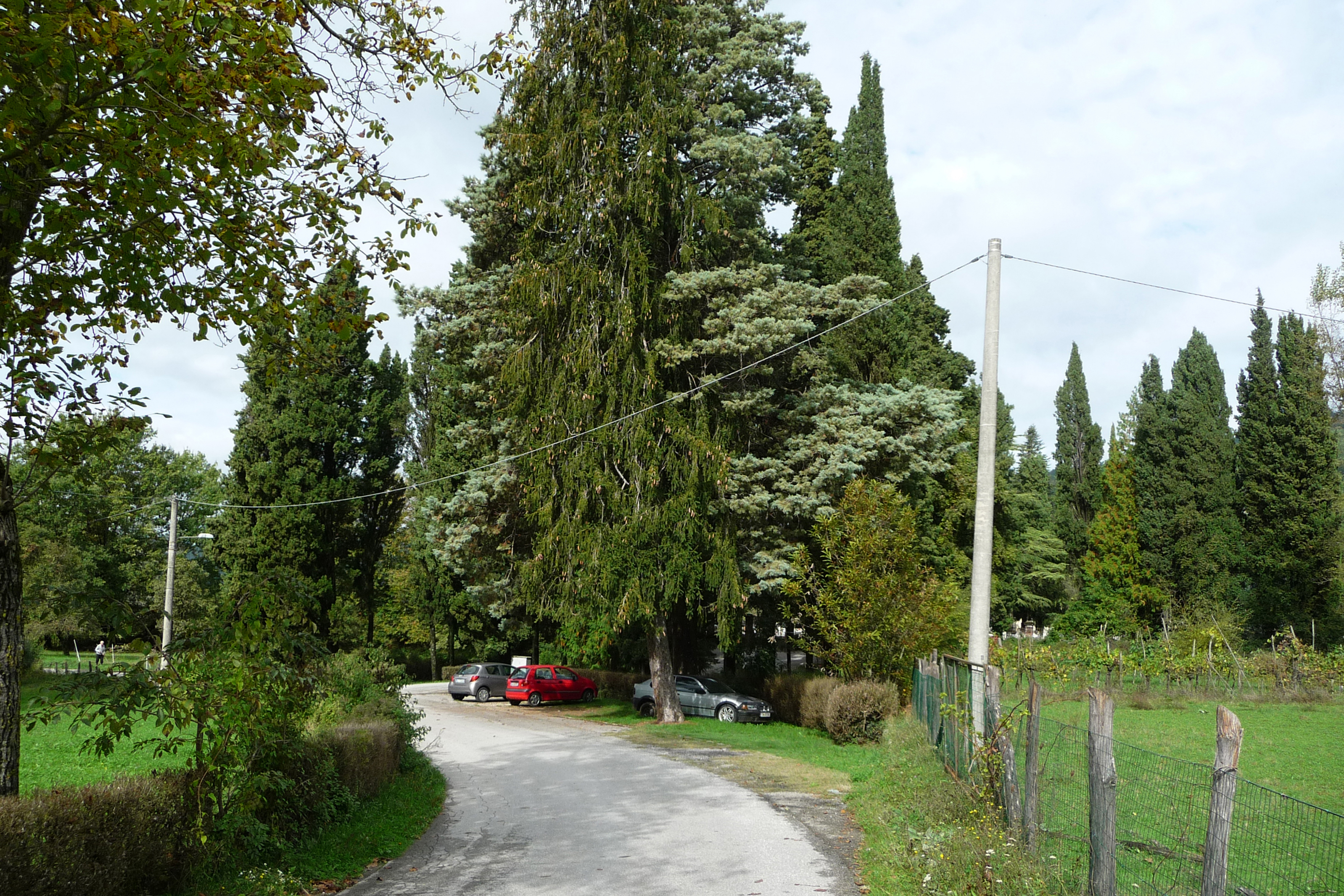 Parco della Rimembranza di Barga (parco, commemorativo/ ai caduti della prima guerra mondiale) - Barga (LU) 