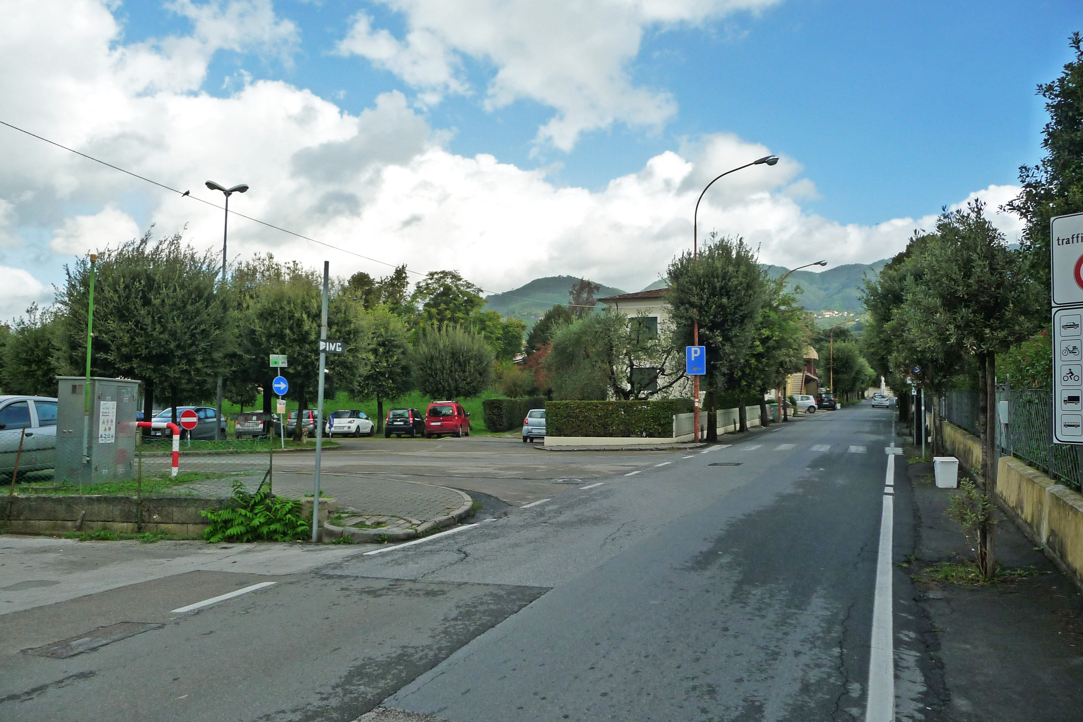 Viale della Rimembranza di Marlia (viale, commemorativo/ ai caduti della prima e seconda guerra mondiale) - Capannori (LU) 