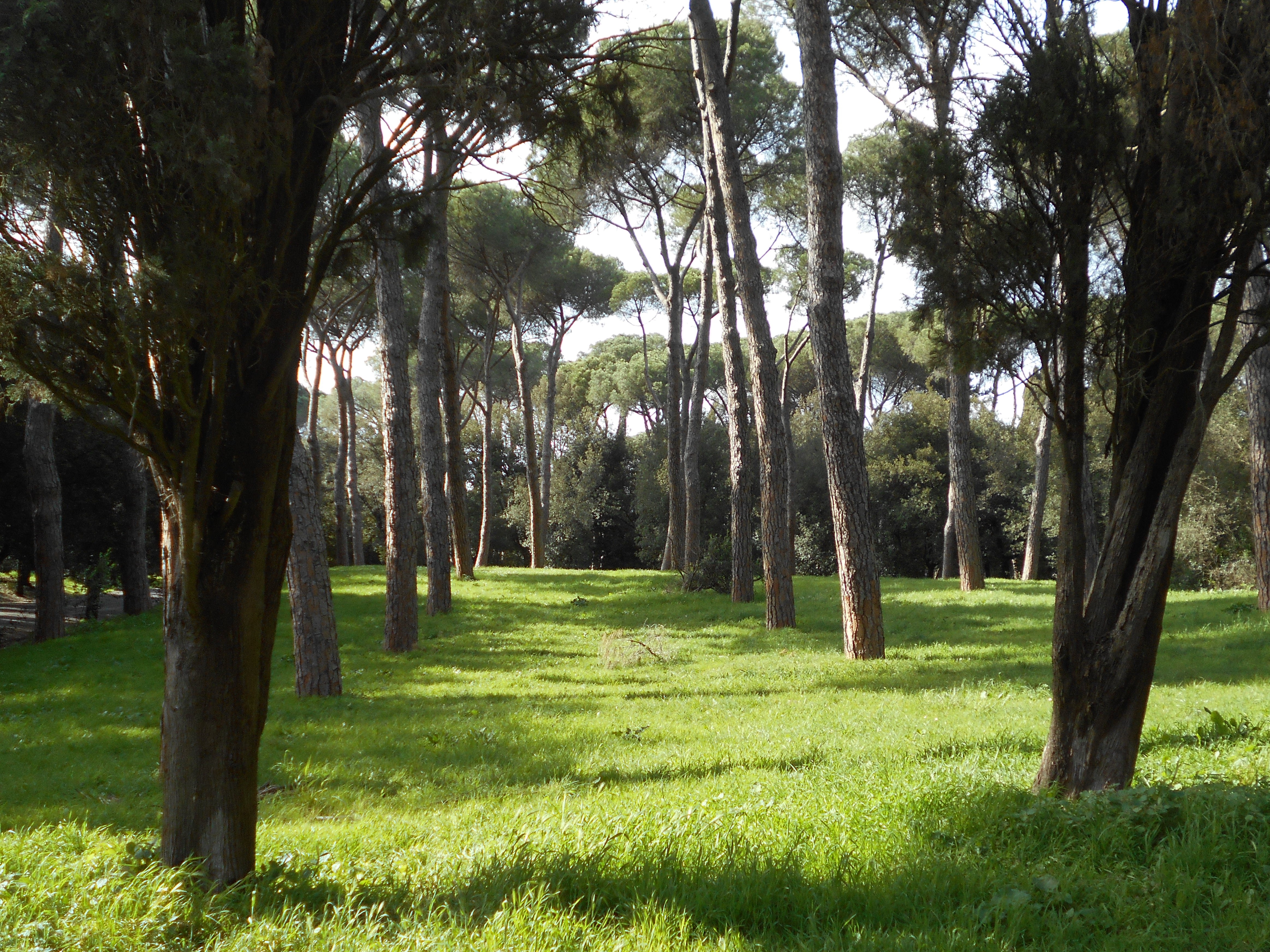 Parco della Rimembranza di Roma (parco, commemorativo/ ai caduti di tutte le guerre), Parco di Villa Glori - Roma (RM) 