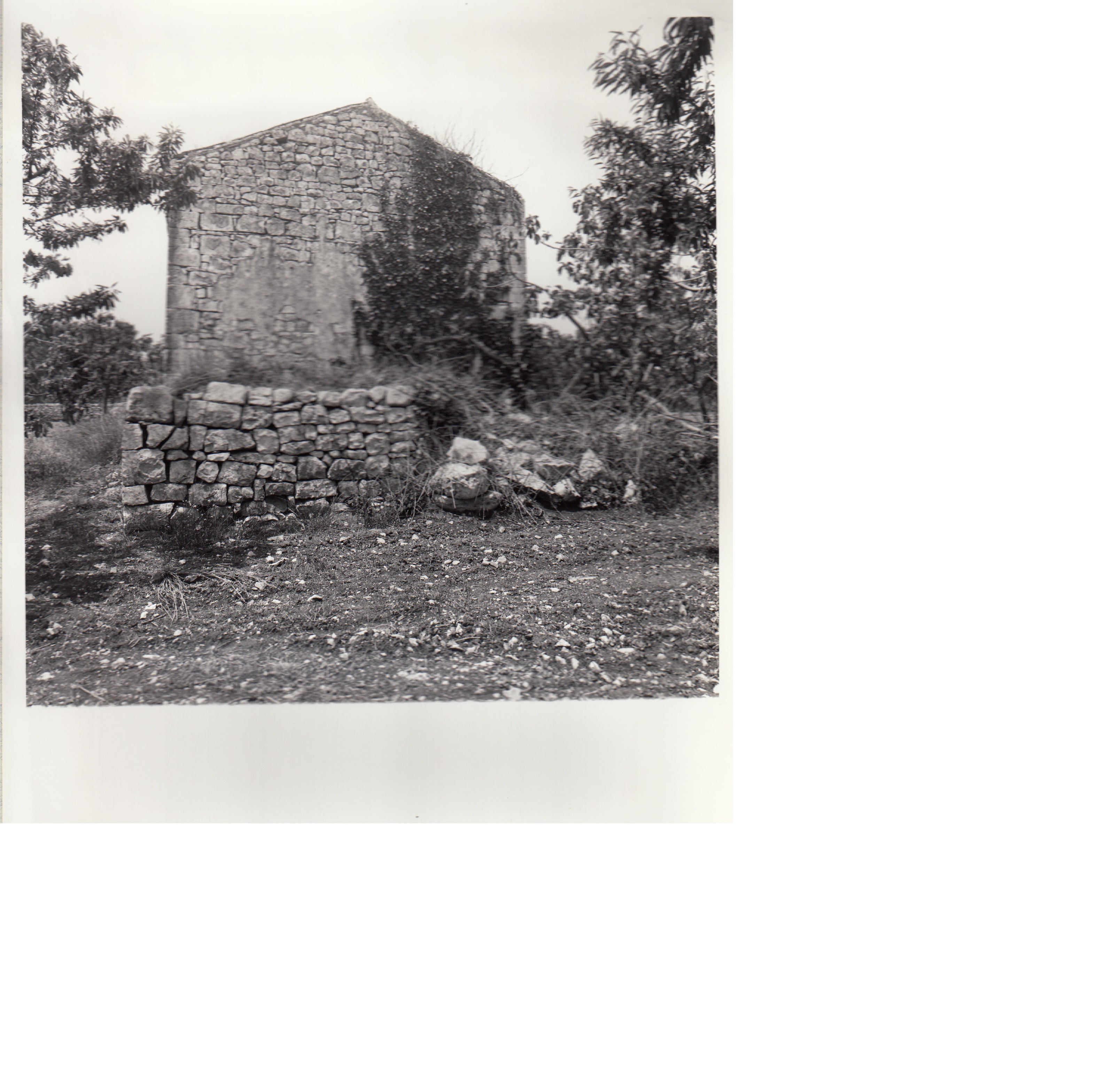 CAPPELLA DI S. PIETRO D'EMBRICE o DELL'EDERA (cappella, rurale) - CONVERSANO (BA) 