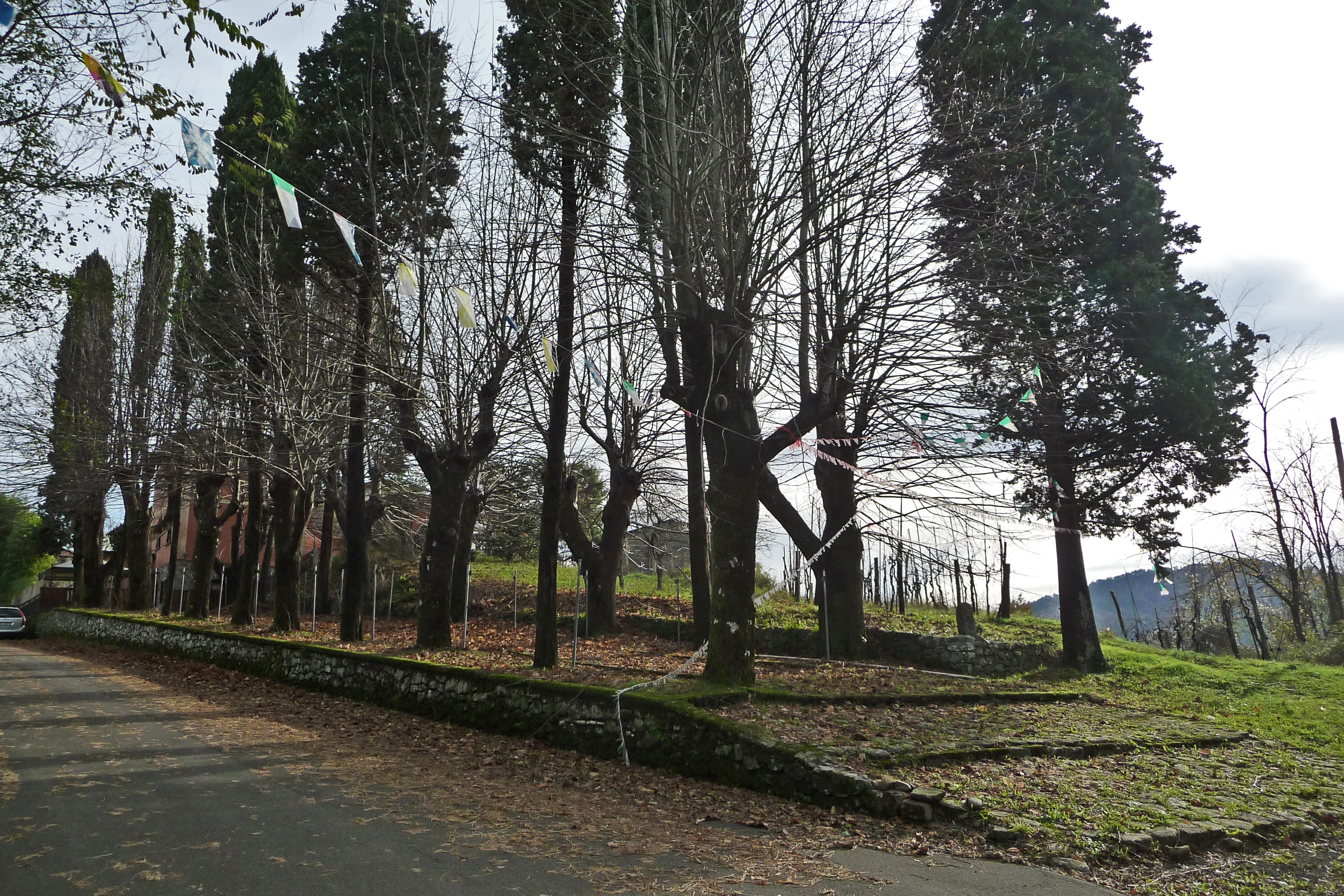 Viale della Rimembranza di Gavedo (viale, commemorativo/ ai caduti della prima guerra mondiale) - Mulazzo (MS) 