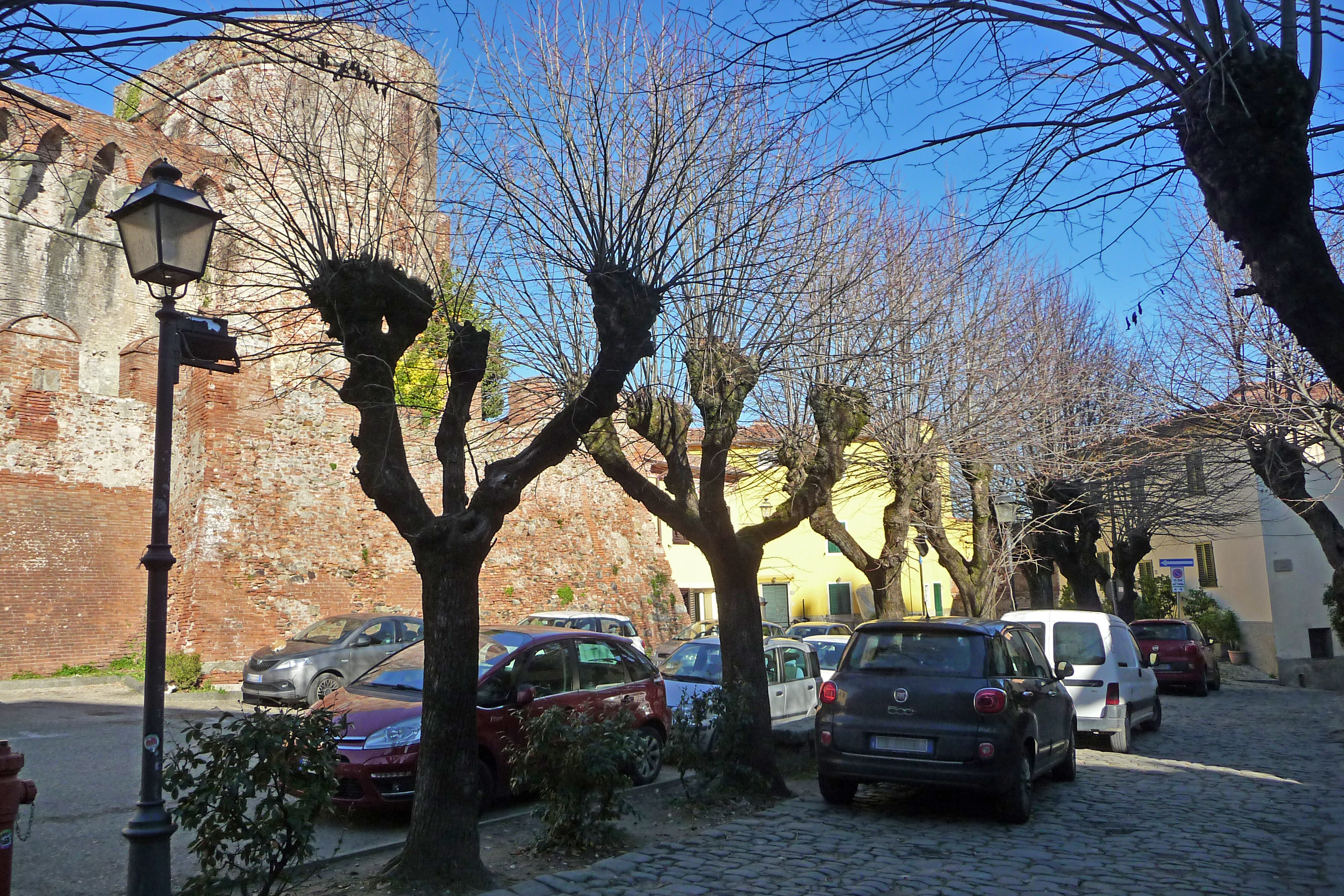 Viale della Rimembranza di Montecarlo (viale, commemorativo/ ai caduti della prima guerra mondiale) - Montecarlo (LU) 