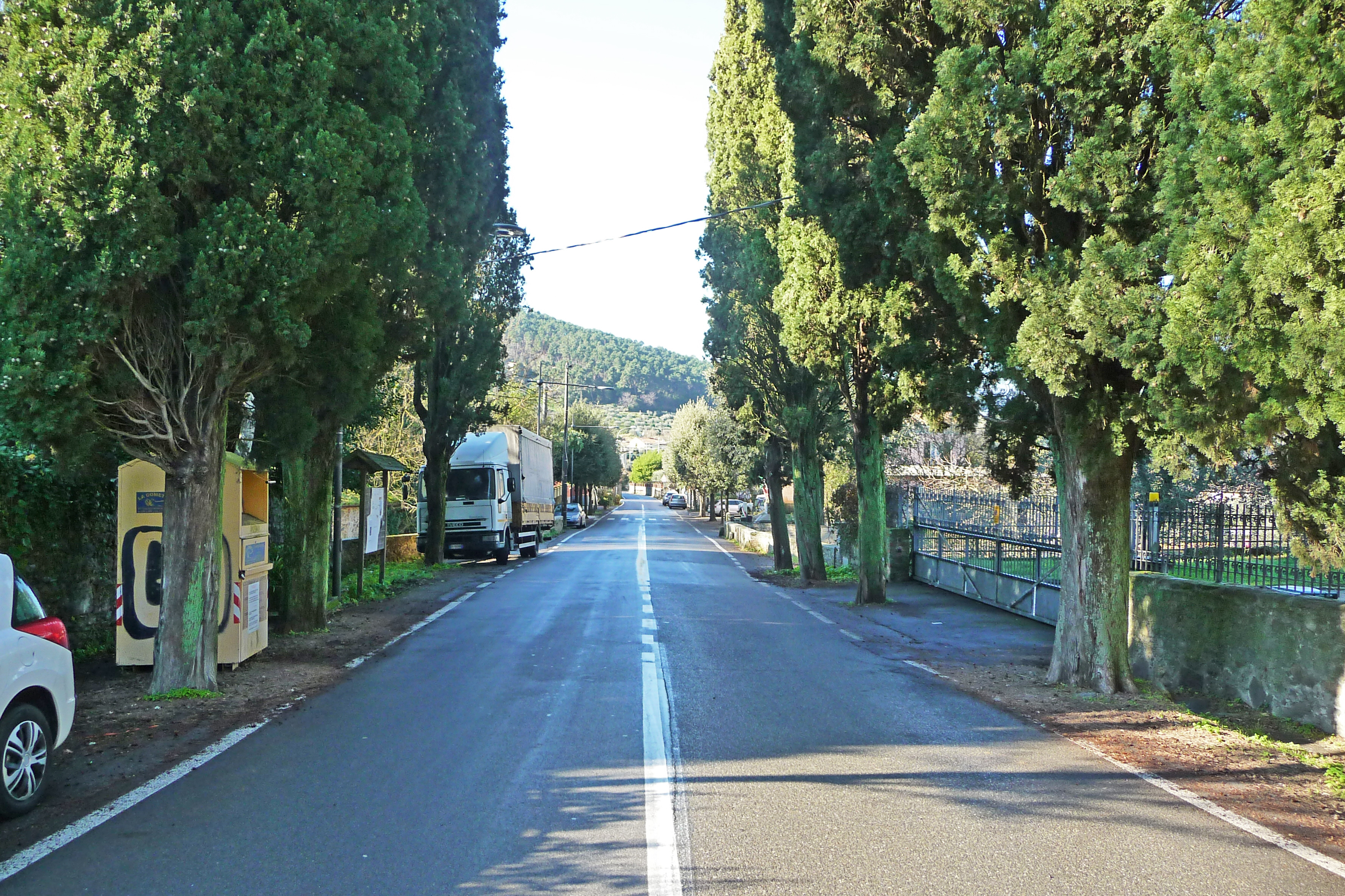 Viale della Rimembranza di Vorno (viale, commemorativo/ ai caduti della prima guerra mondiale) - Capannori (LU) 