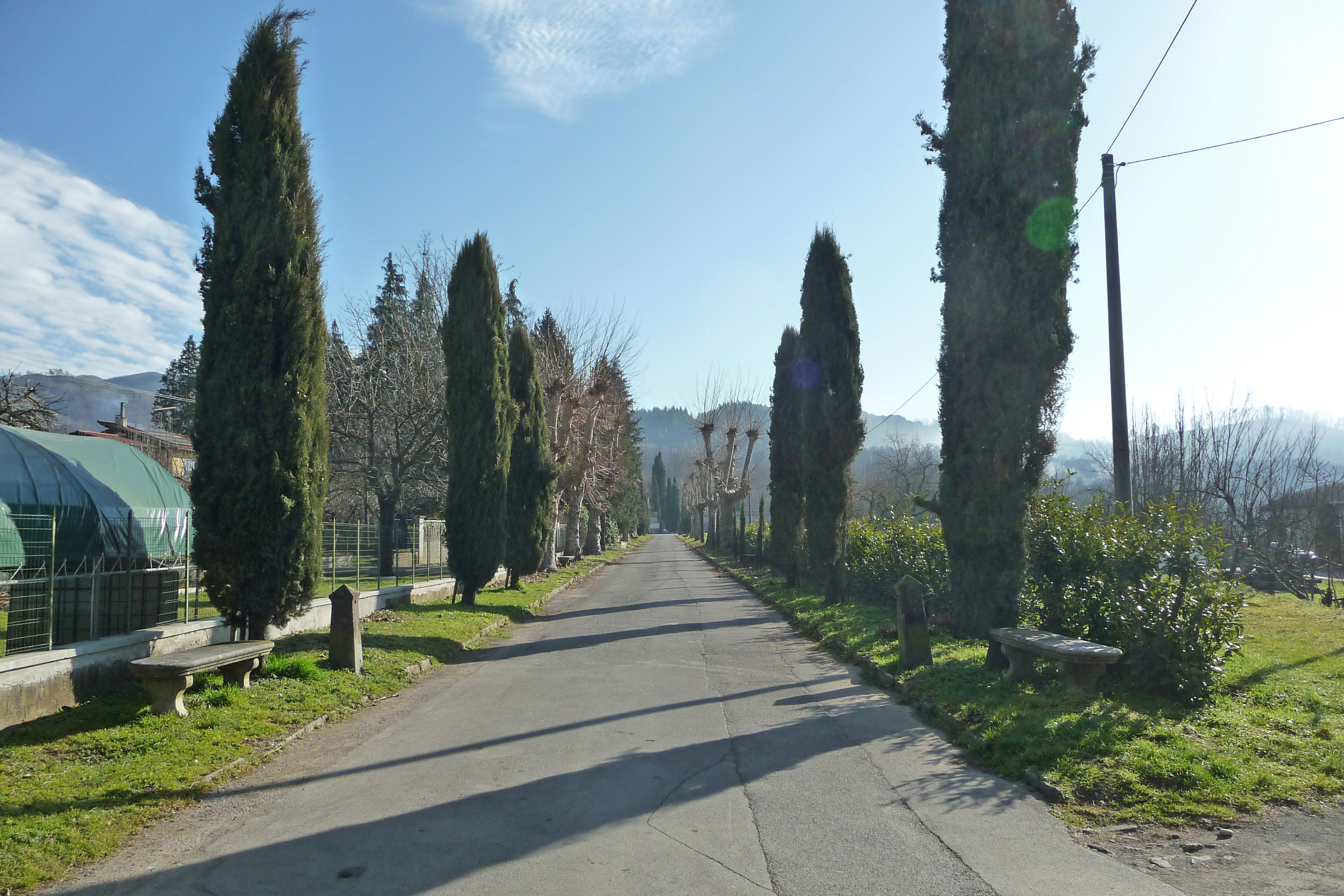 Viale della Rimembranza di Pieve Fosciana (viale, commemorativo/ ai caduti della prima guerra mondiale) - Pieve Fosciana (LU) 