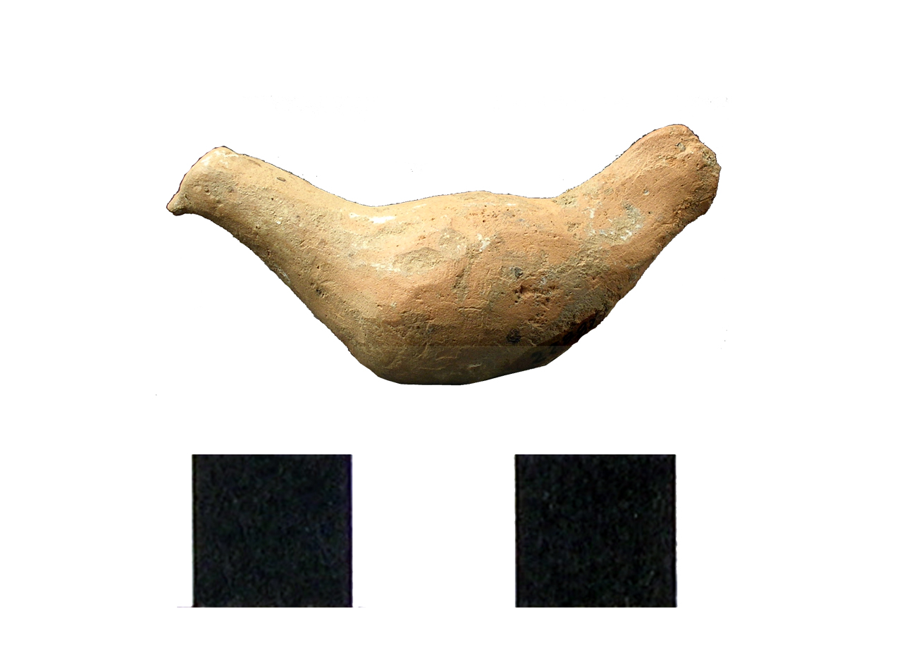 colomba, miniaturistica (fine SECOLI/ IV a.C)