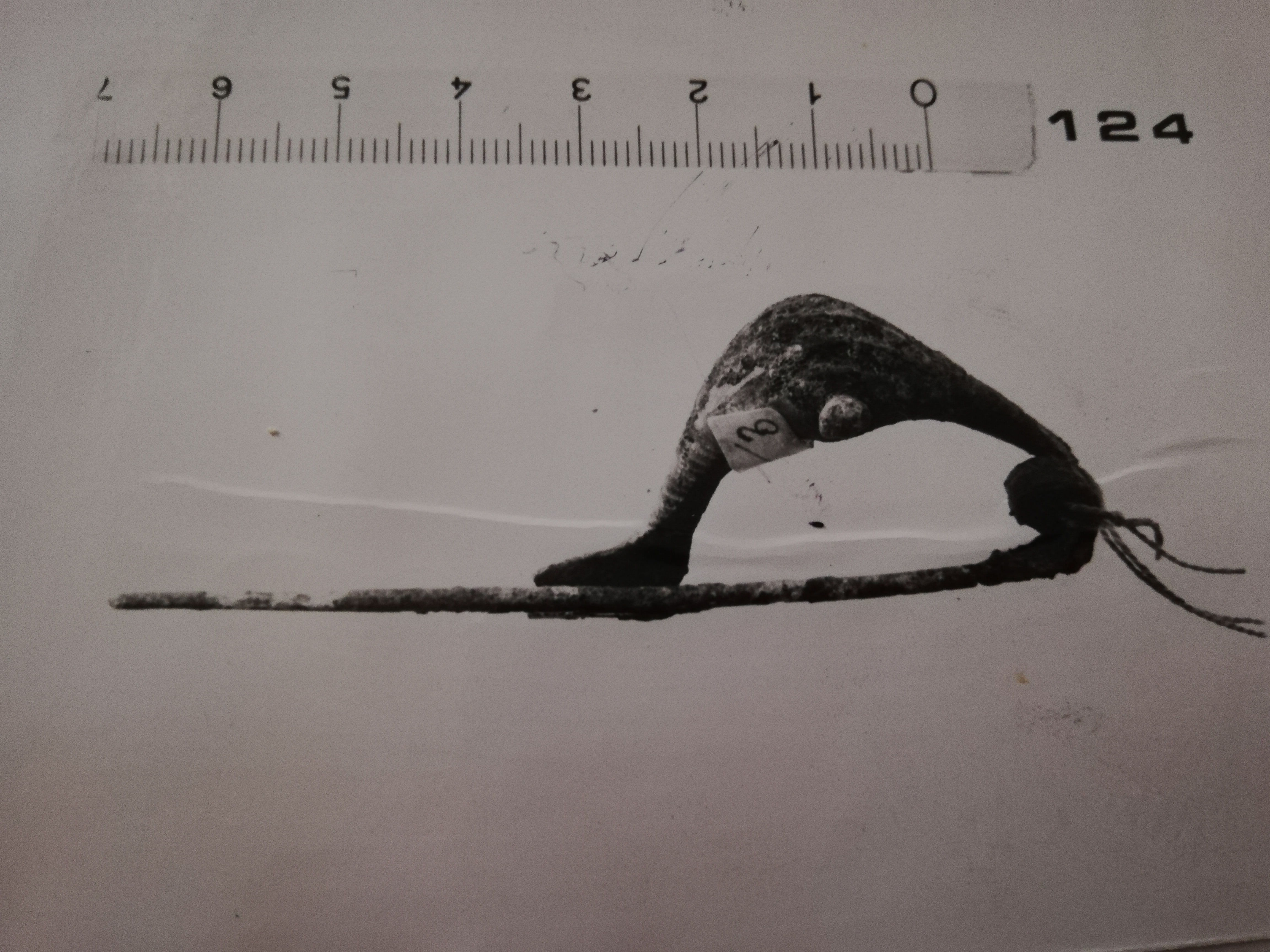 fibula/ a navicella, con bottoni laterali e staffa lunga (SECOLI/ VII a.C)