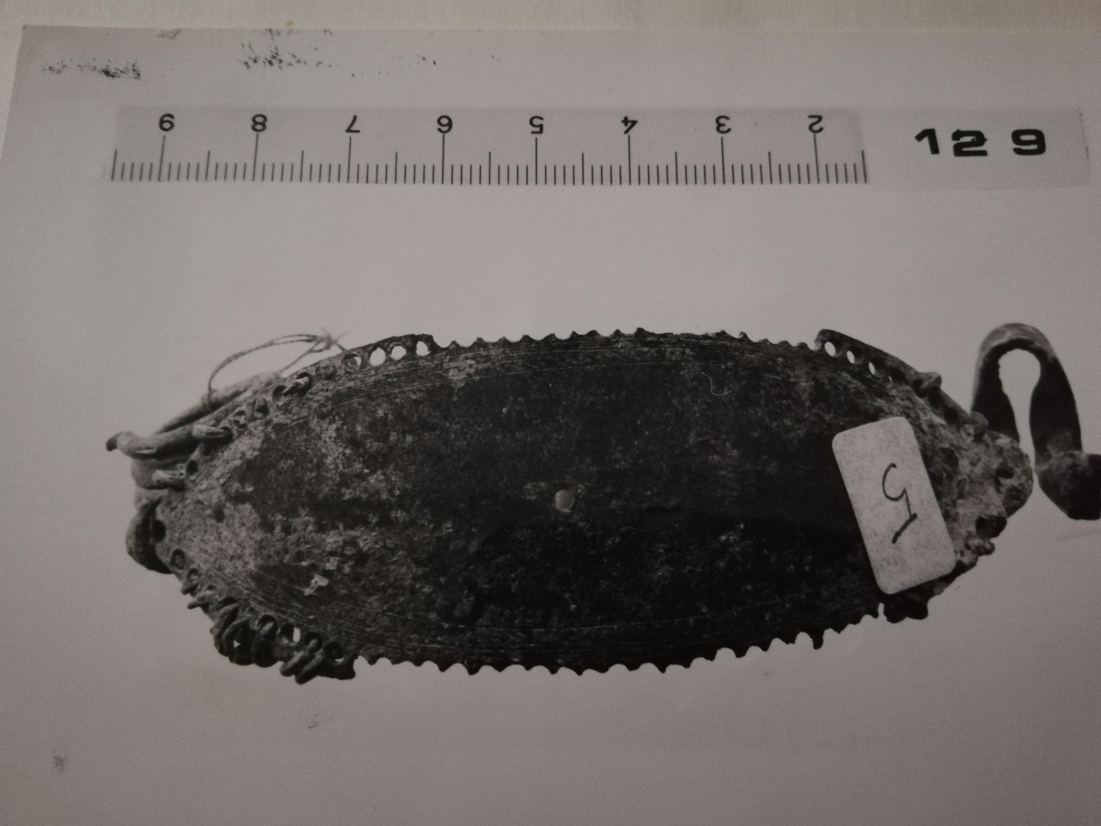 fibula/ ad arco foliato, e staffa a disco (SECOLI/ IX a.C)