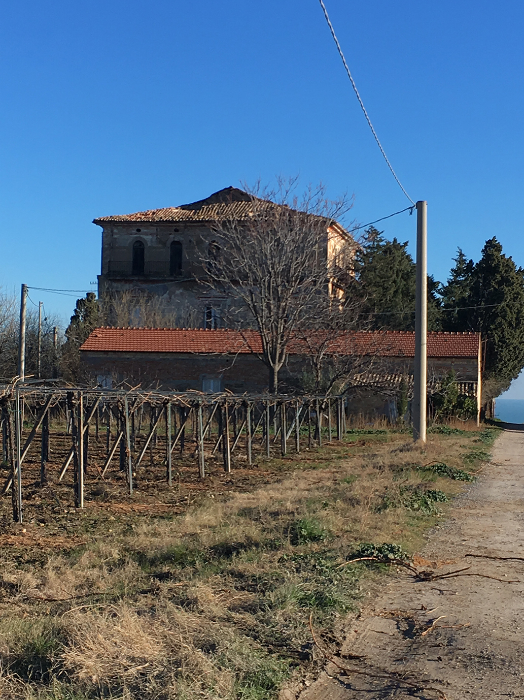 Villa Adami (villa, privata) - Casalbordino (CH) 