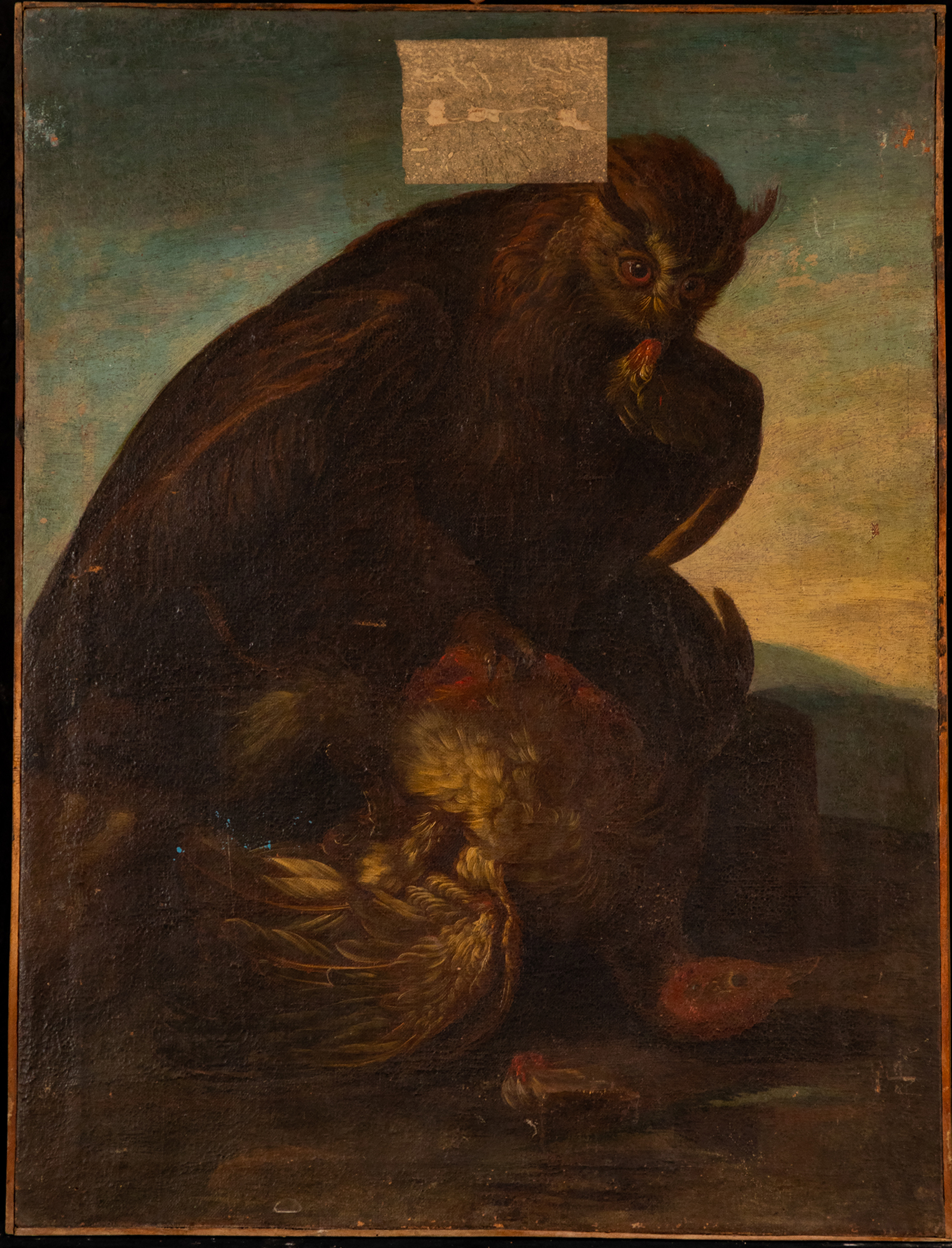 uccello notturno (dipinto, insieme) di Duranti Giorgio (seconda metà sec. XVIII)