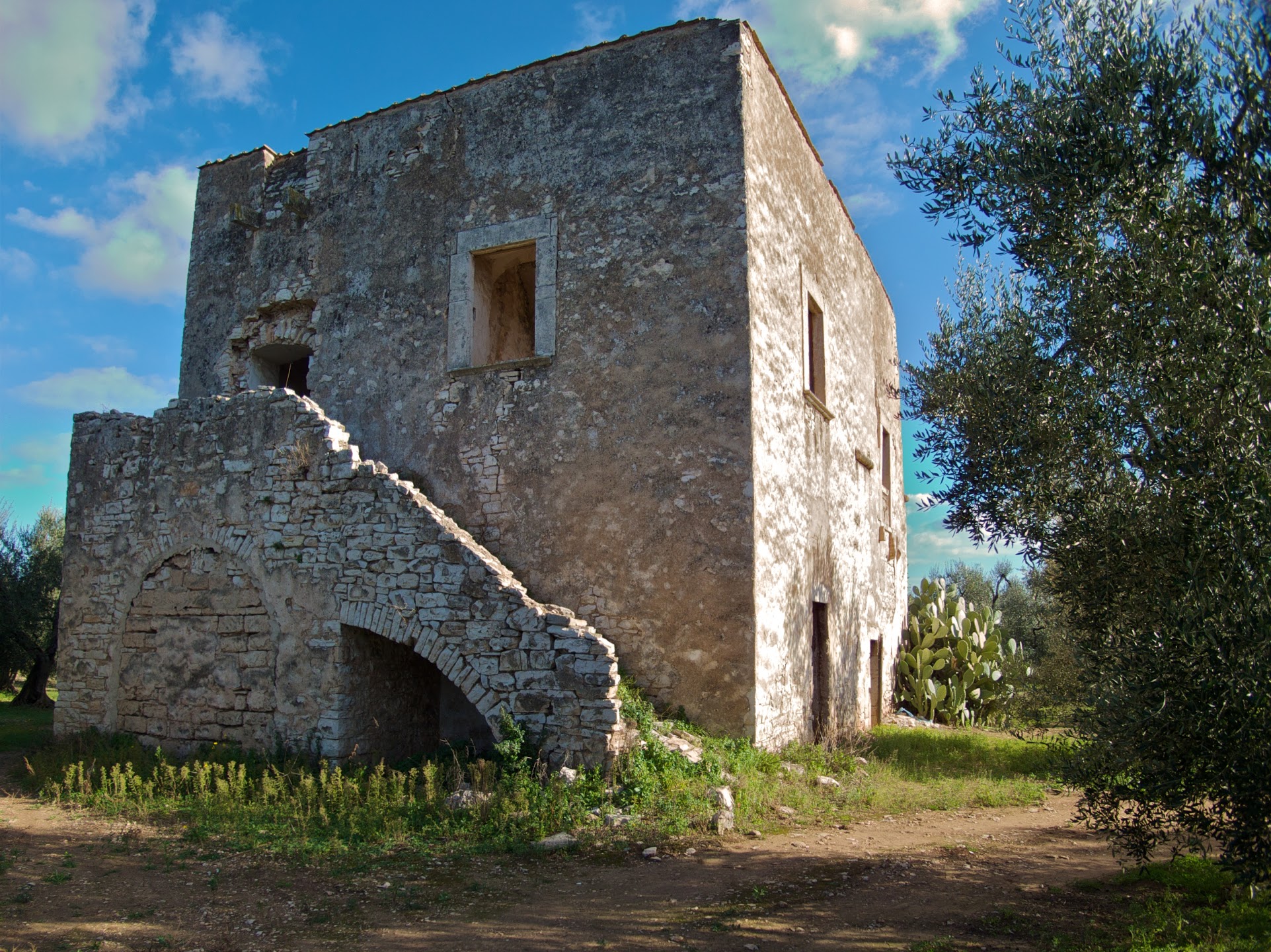 Torre Ranocchio (torre) - Bitonto (BA) 