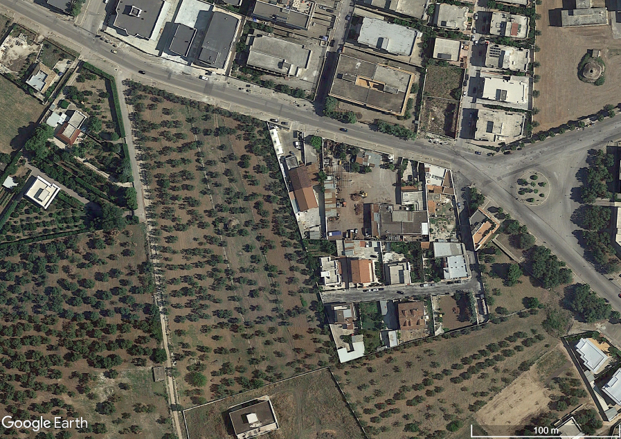 Chiesa di S. Aneta (chiesa) - Bitonto (BA) 