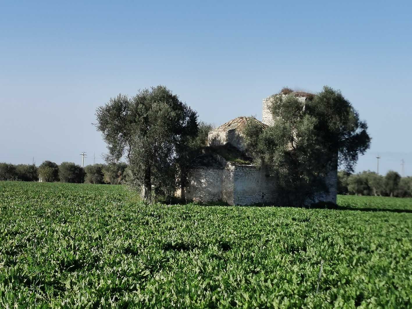 Chiesa di S. Croce (chiesa) - Bitonto (BA) 