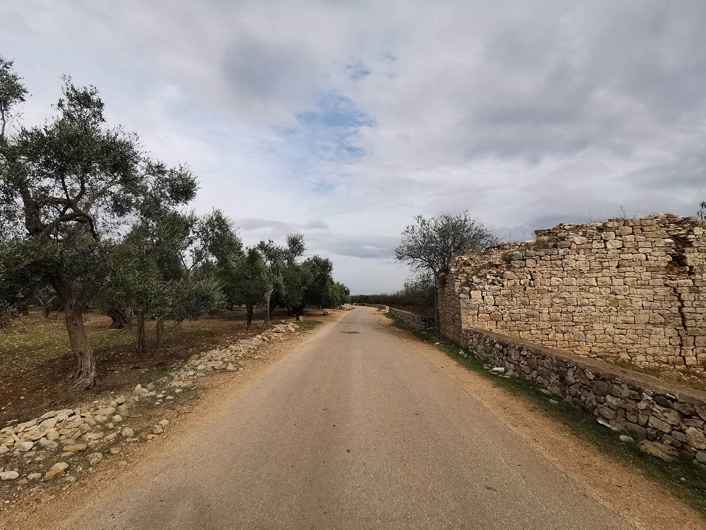 Torre Carrieri (torre) - Bitonto (BA) 