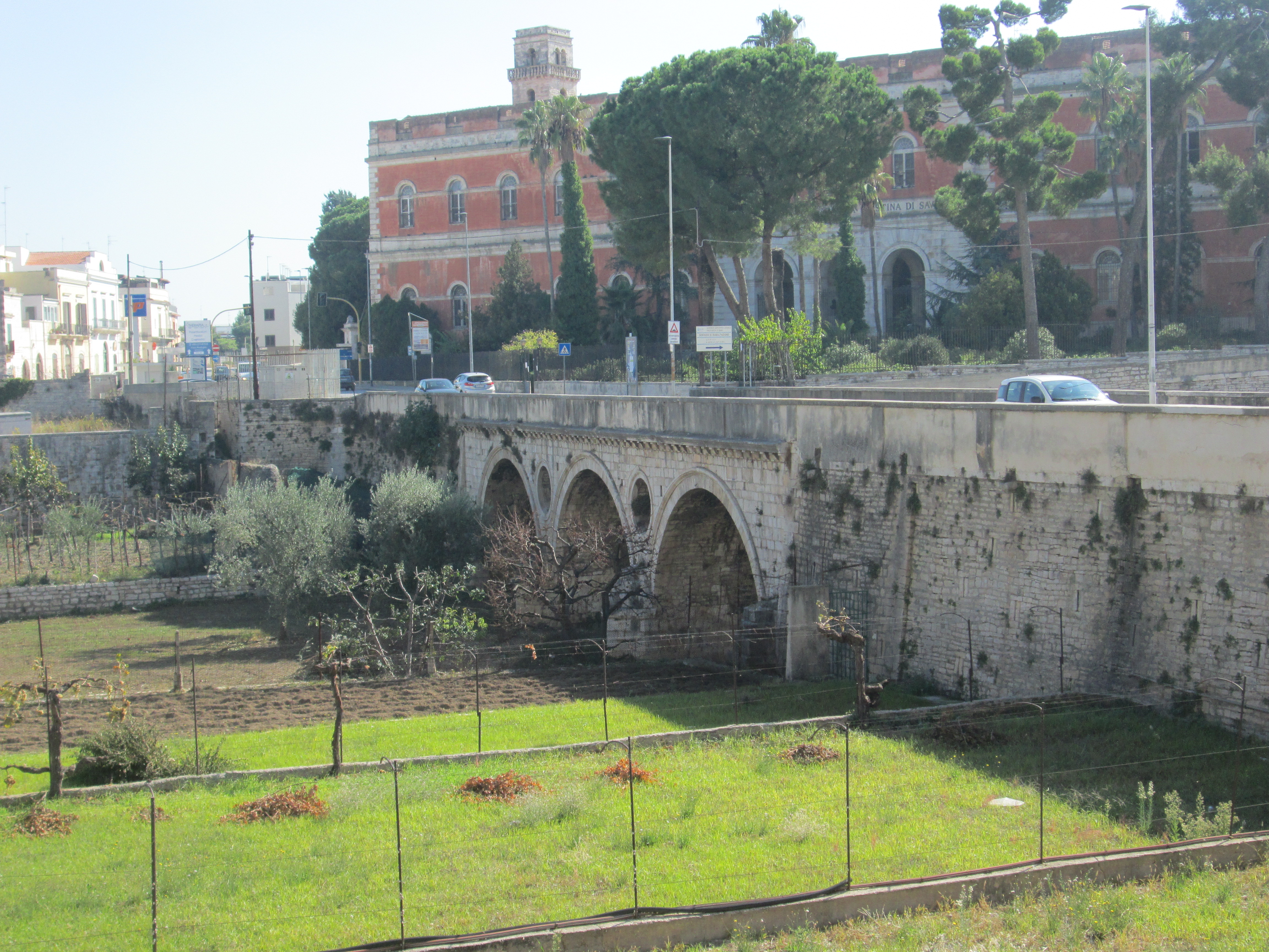Ponte del Carmine (ponte) - Bitonto (BA) 