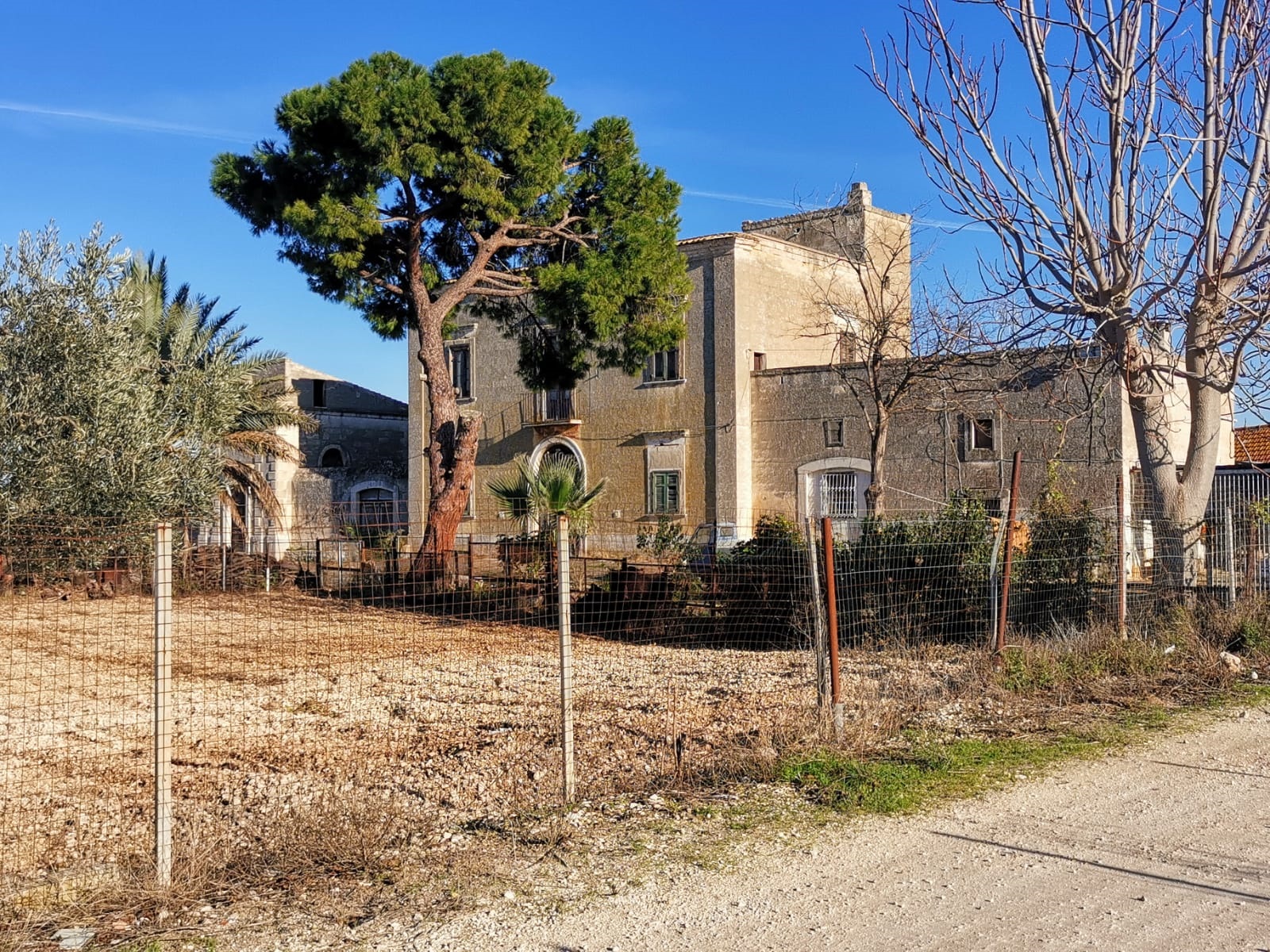 MASSERIA DI CAGNO (masseria suburbana con cappella, padronale) - Bari (BA) 