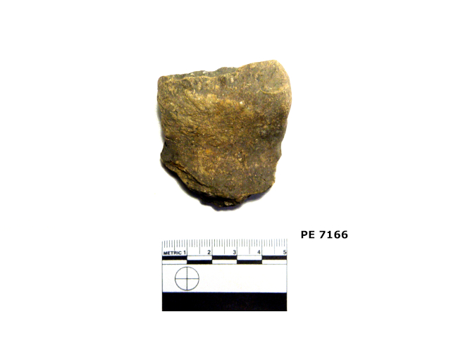 recipiente/ ansa (PERIODIZZAZIONI/ Protostoria/ Eta' del Bronzo/ Eta' del Bronzo antico)