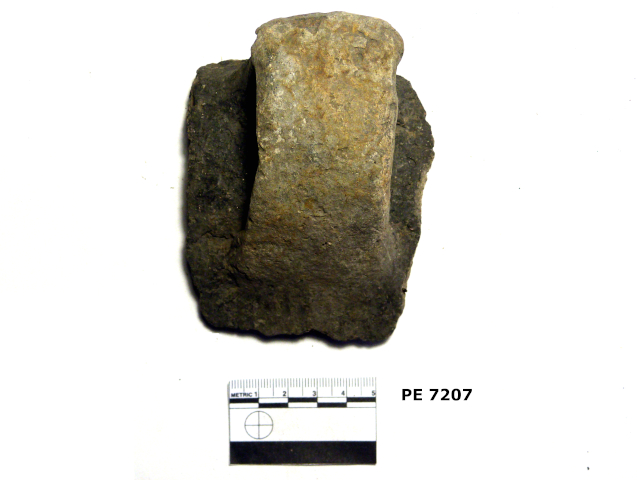 recipiente/ ansa (PERIODIZZAZIONI/ Protostoria/ Eta' del Bronzo/ Eta' del Bronzo antico)
