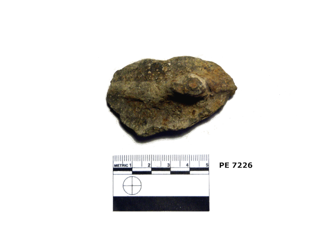 recipiente/ presa (PERIODIZZAZIONI/ ARCHI DI PERIODI/ Bronzo antico - Bronzo recente)