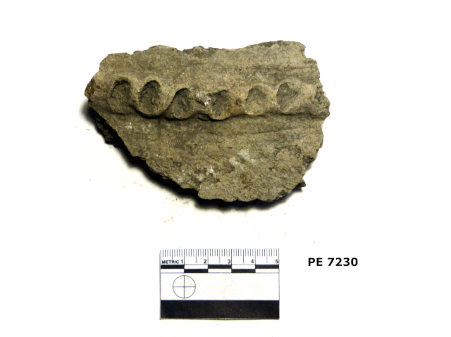 recipiente/ parete (PERIODIZZAZIONI/ Protostoria/ Eta' del Bronzo/ Eta' del Bronzo antico)