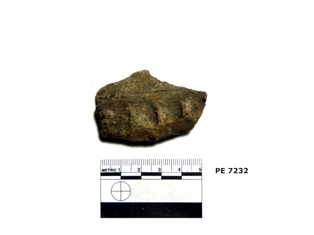recipiente/ parete (PERIODIZZAZIONI/ Protostoria/ Eta' del Bronzo/ Eta' del Bronzo antico)