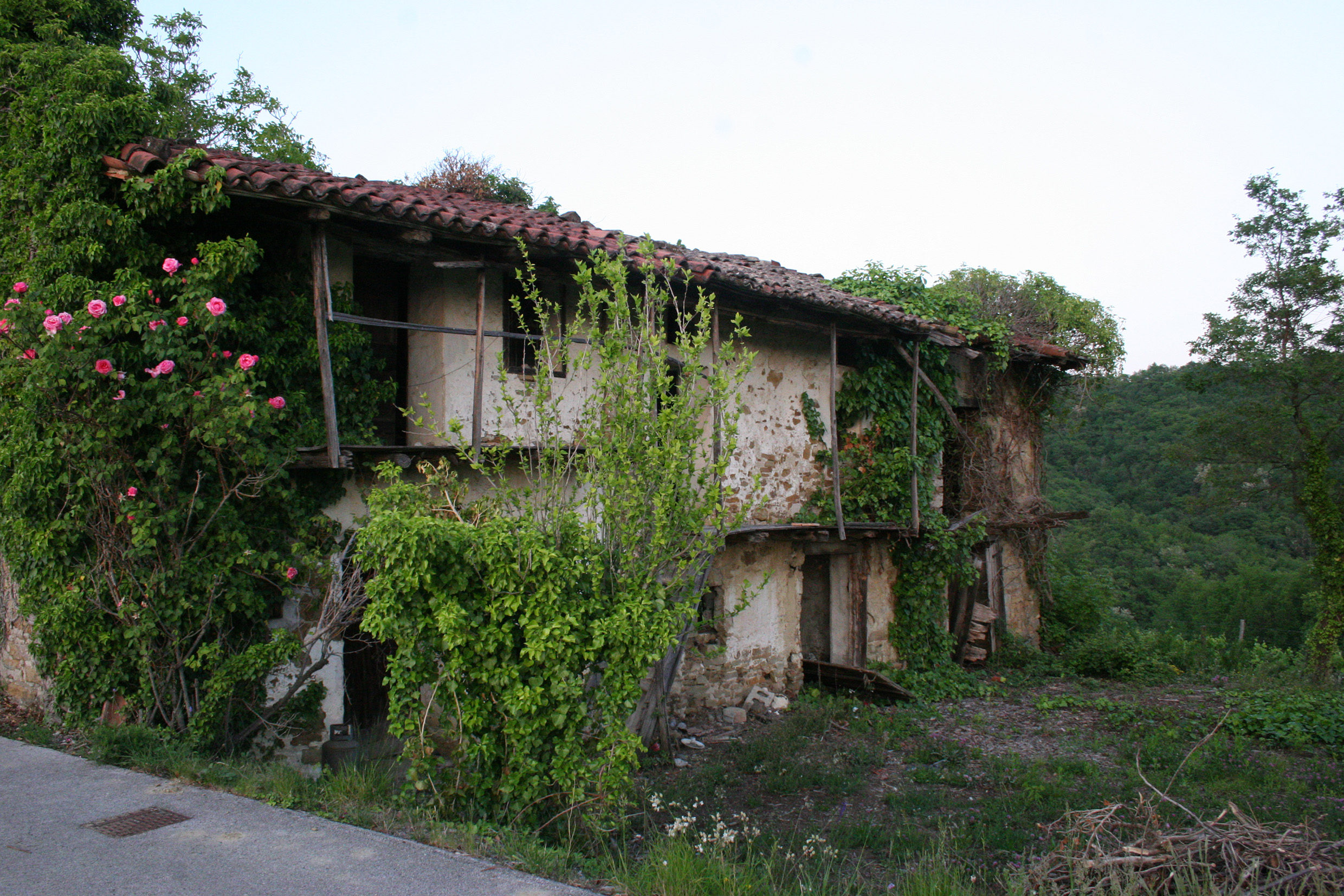 casa rurale (casa) - Dolegna del Collio (GO) 