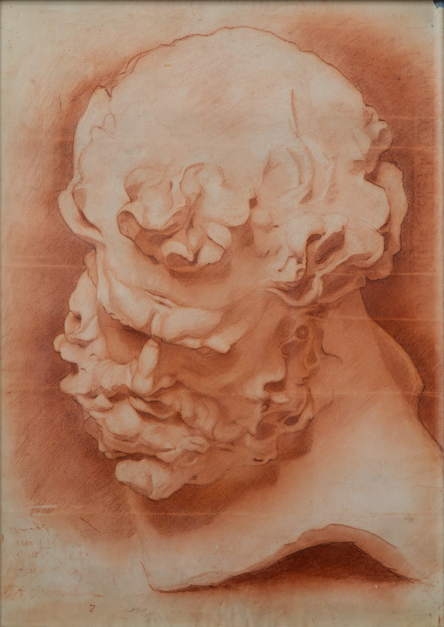Testa dell'Ercole Farnese (disegno, opera isolata) di Cuneo Renata (XX)