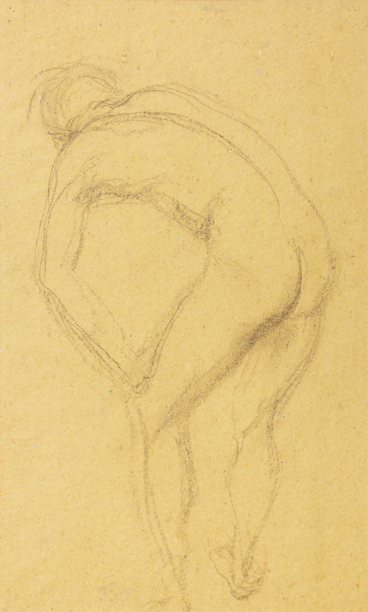 Nudo maschile inclinato in avanti (disegno, opera isolata) di Cuneo Renata (XX)