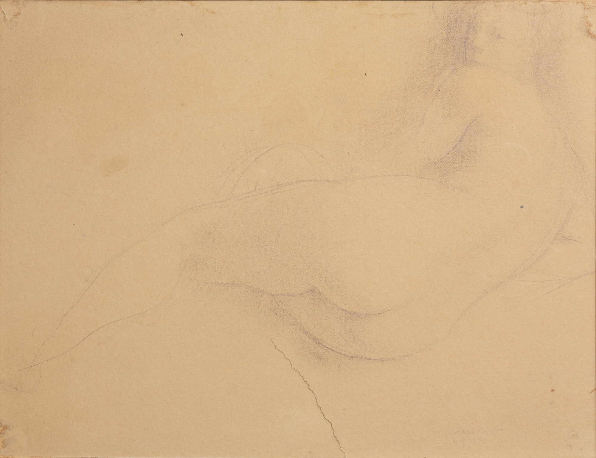 Nudo di schiena, Nudo di donna distesa (disegno, opera isolata) di Cuneo Renata (XX)