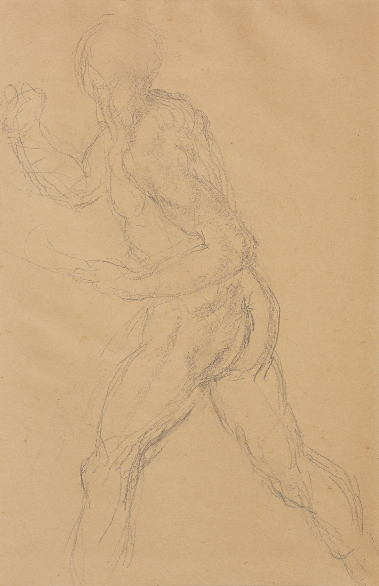 Nudo maschile in piedi (disegno, opera isolata) di Cuneo Renata (XX)