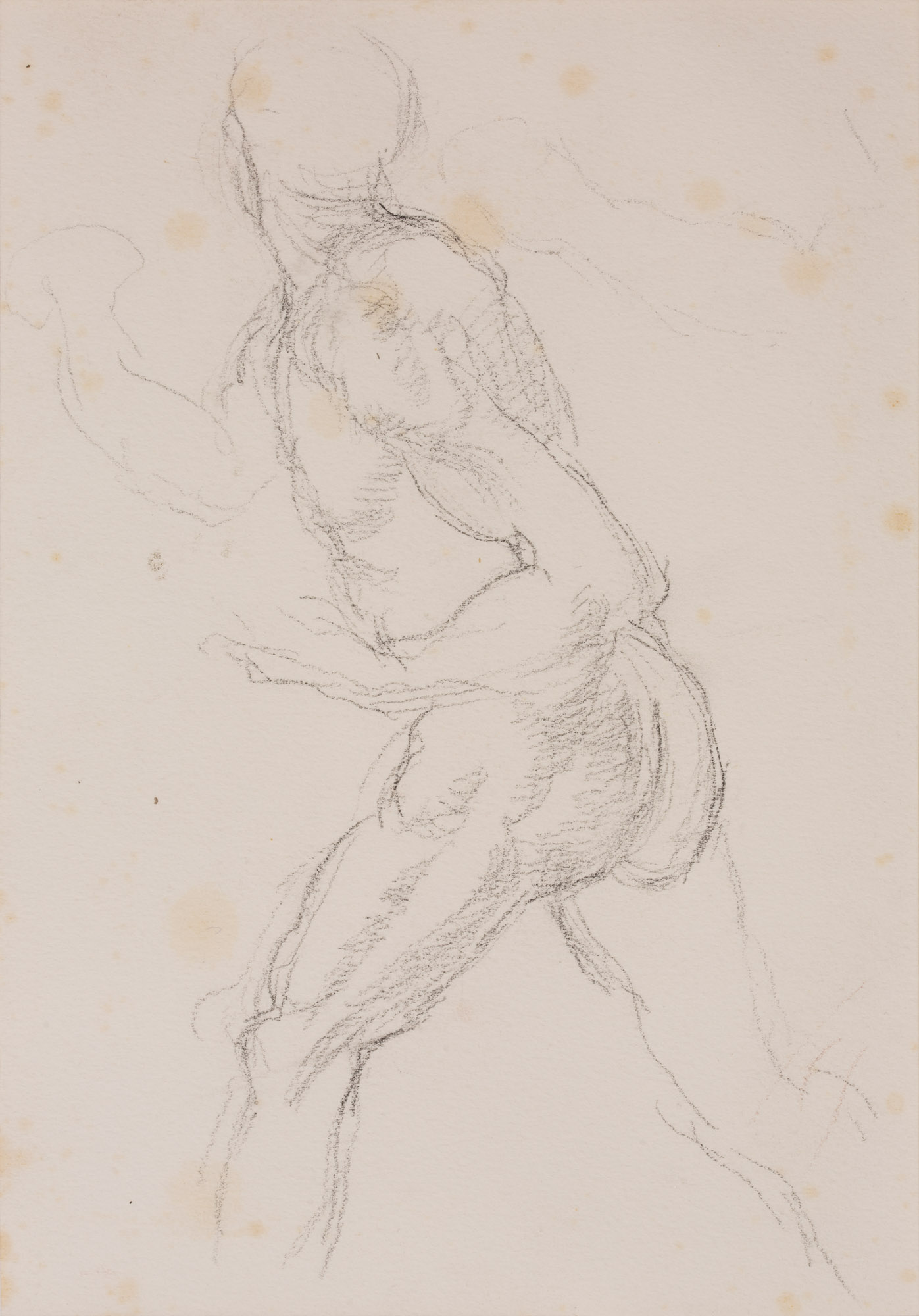 Nudo maschile in piedi (disegno, opera isolata) di Cuneo Renata (XX)