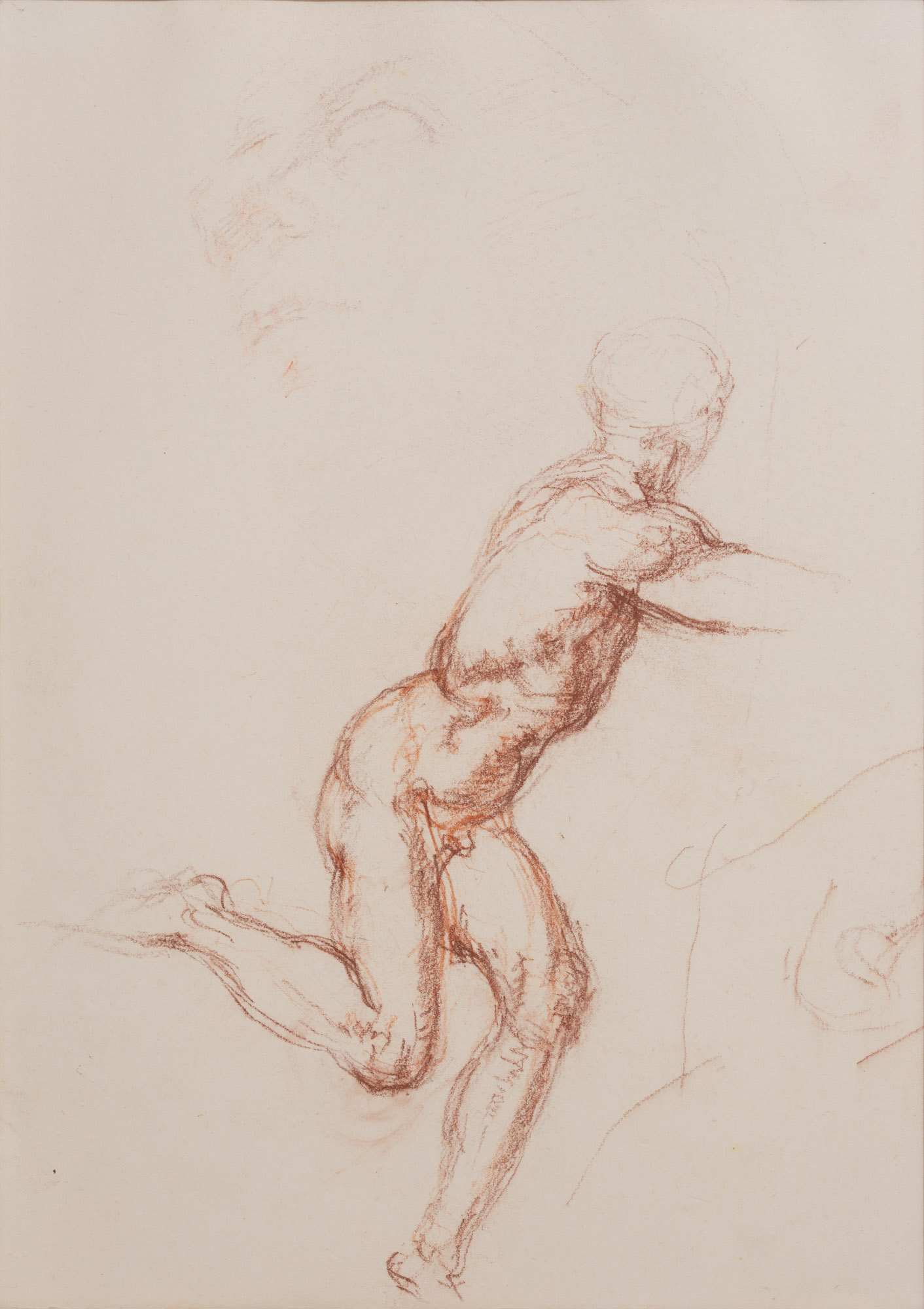 Nudo maschile in piedi (disegno, opera isolata) di Cuneo Renata (XX)