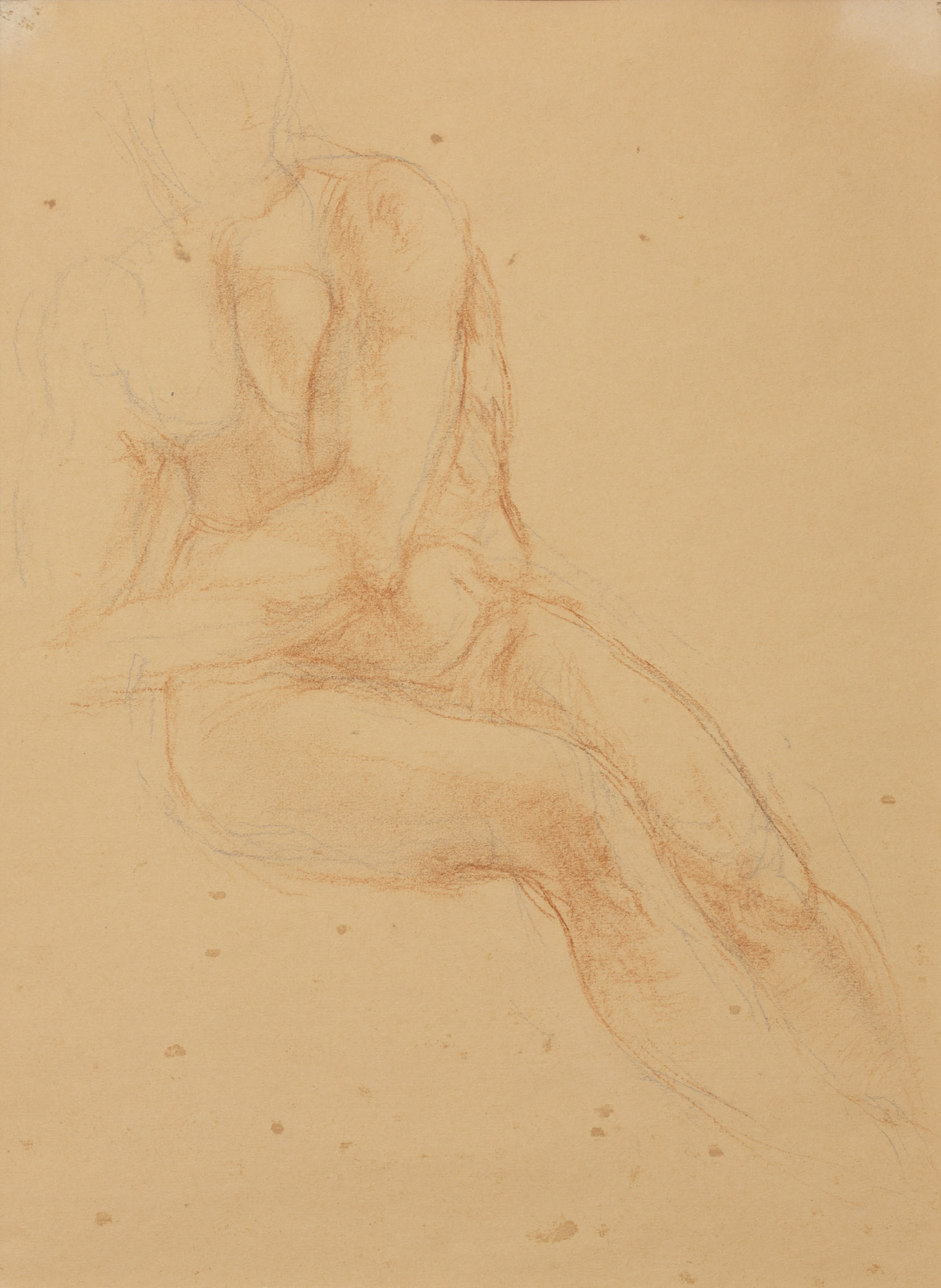 Nudo maschile seduto (disegno, opera isolata) di Cuneo Renata (XX)