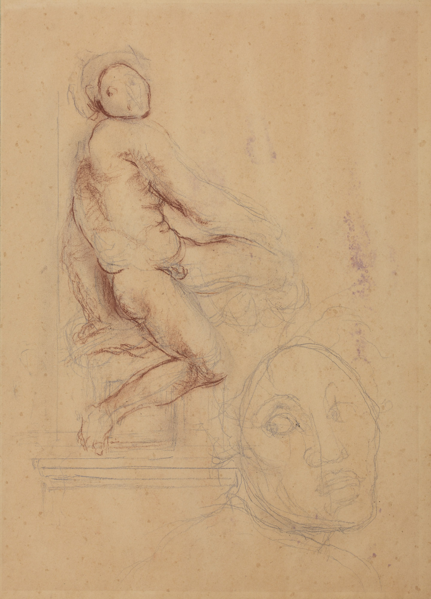 Nudo maschile seduto, Testa maschile (disegno, opera isolata) di Cuneo Renata (XX)