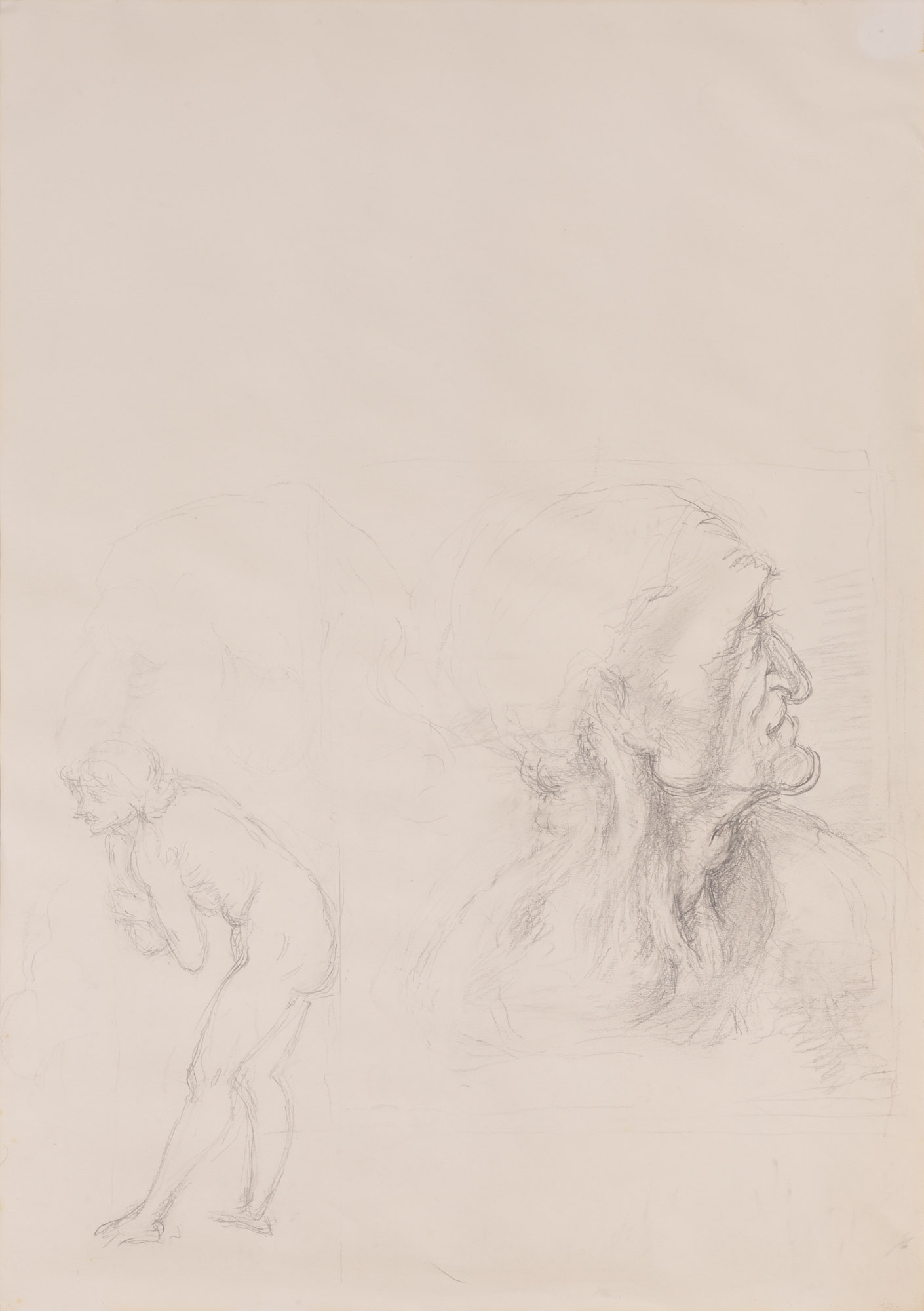 Testa di Giuda Iscariota, Nudo inclinato (disegno, opera isolata) di Cuneo Renata (XX)