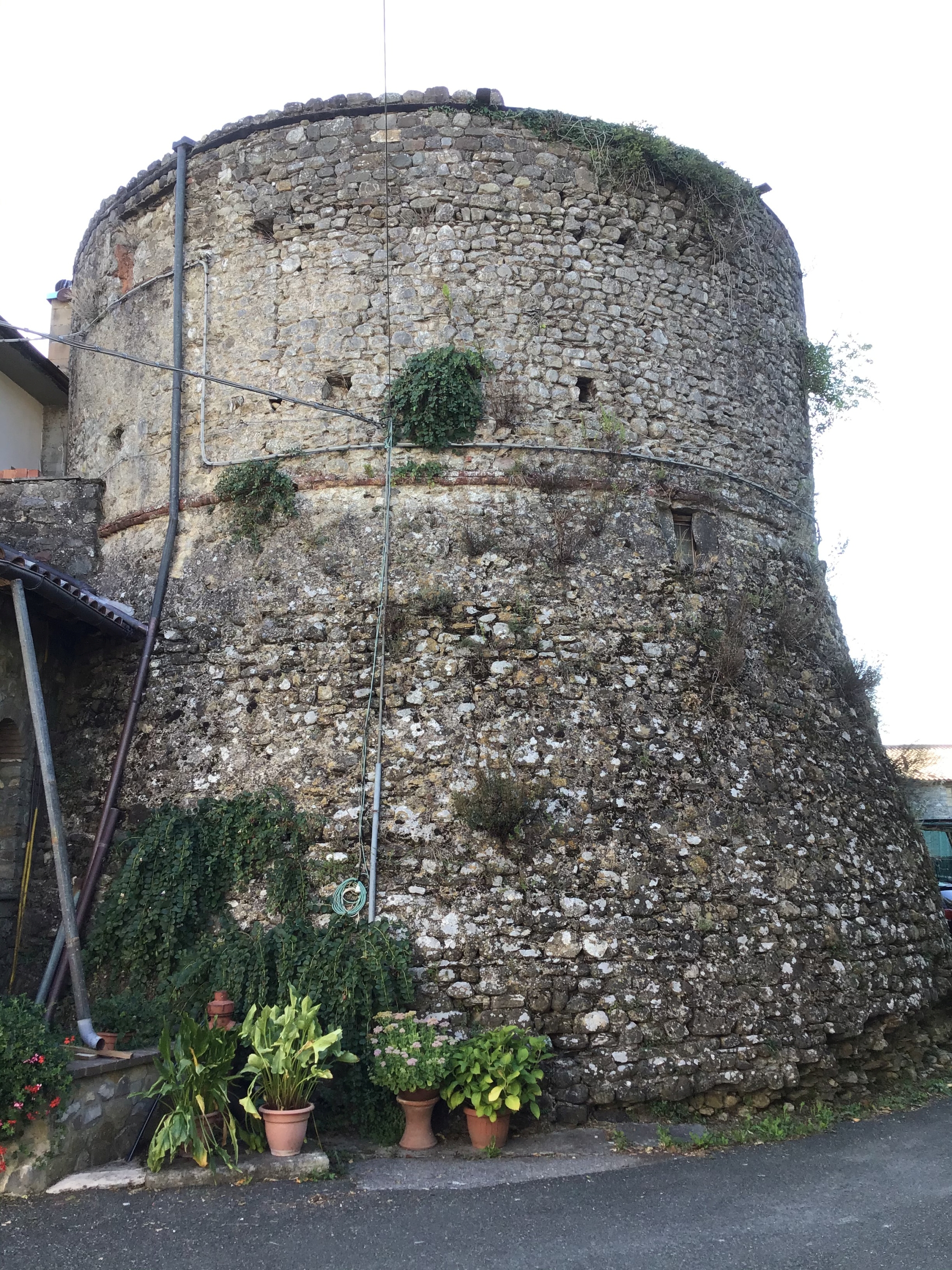 Castello di Olivola (castello) - Aulla (MS) 