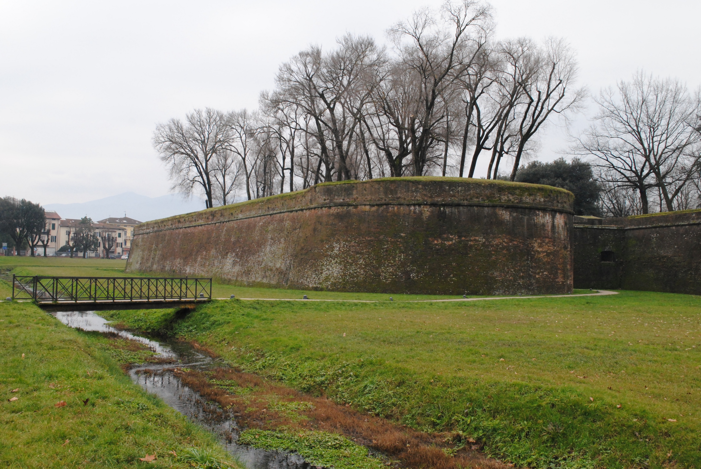 Baluardo San Salvatore (baluardo) - Lucca (LU)  (XVI)