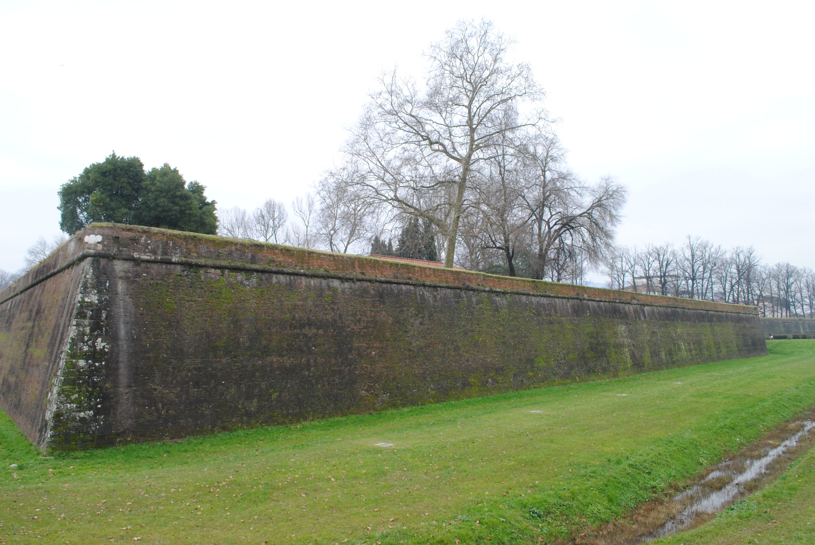 Baluardo S. Pietro (baluardo) - Lucca (LU)  (XIX, fine)