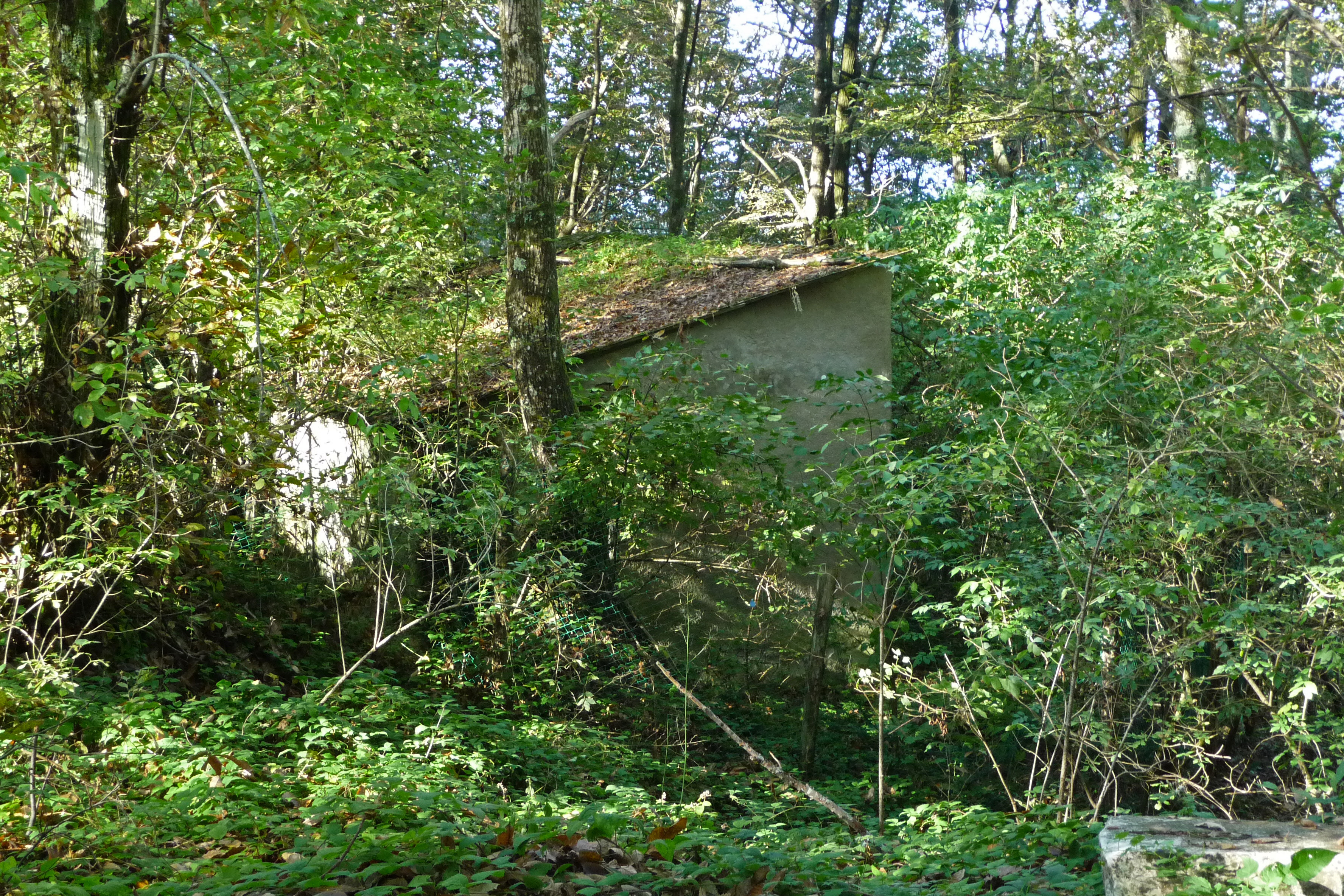 Batteria militare (ex) (batteria) - Carrara (MS) 